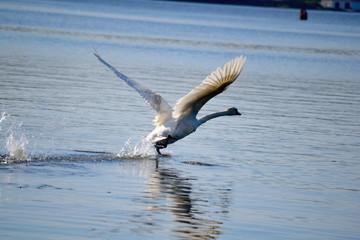 Take Off