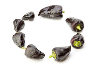 A ring of black pepper isolated on white