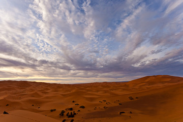 Fototapeta na wymiar Landscape view of Sahara and bedouin camp