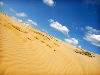 desert landscape