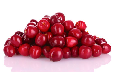 cherries isolated on white background