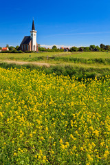 Church and flower field on a sunny day