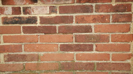 Muro in mattoni (Texture)