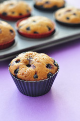 Berry cupcakes