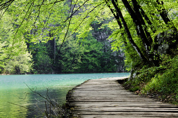 Fototapeta na wymiar Wooden path near a forest lake