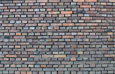 Fototapeta premium Brick wall - background