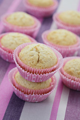 coconut muffins