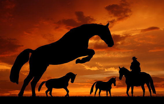 Silhouette cowboy with horses in the sunset