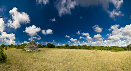 Obraz premium Golden, blue and white