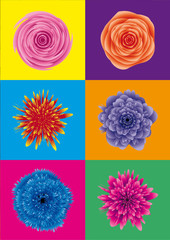 Naklejki  moc kwiatów / kwiat pop-art