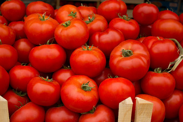 Fresh, organic tomatoes on the stall