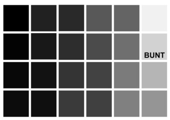Bunt