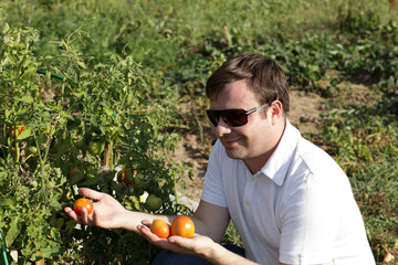 Man looks at tomato