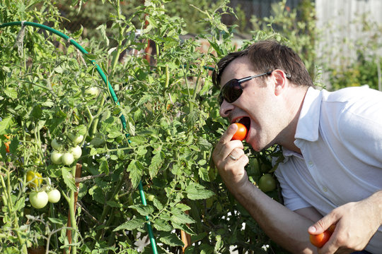 Man bites tomato