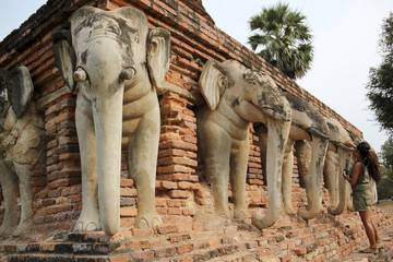 Fototapeta na wymiar elephant head temple sukhothai thailand