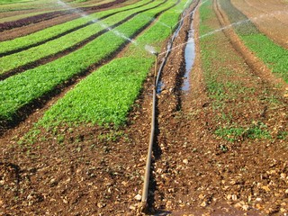 Agricultural irrigation system.