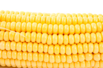 ear of corn