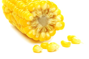 Ripe corn on a white background. © Saprunova Marina