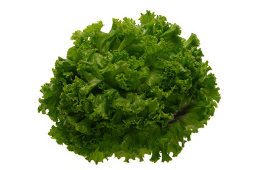 Obraz premium Insalata gentile