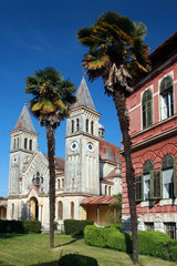 Palm trees and the St.Pelagius church