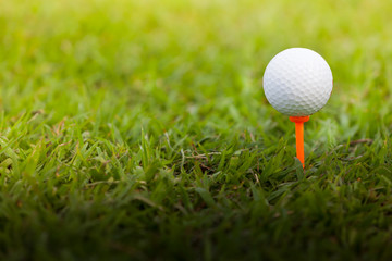 Golf ball on a Tee