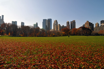 Autumn in the Central Park.
