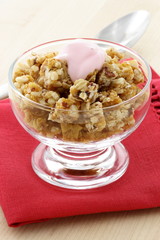 delicious and healthy granola