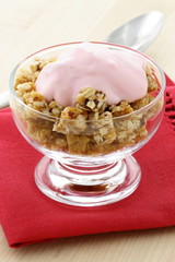 delicious and healthy granola