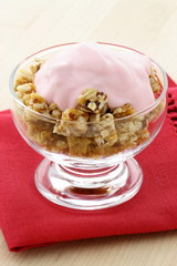 delicious and healthy granola