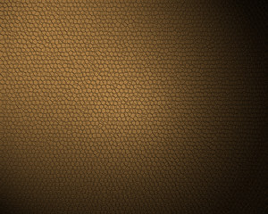 Fototapeta premium Leather Texture.