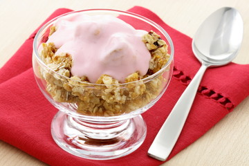 delicious and healthy granola