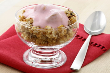 delicious and healthy granola