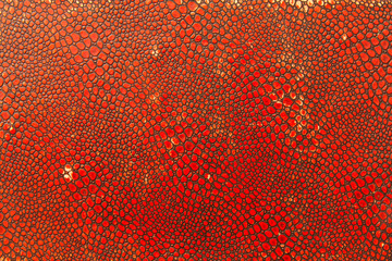 Obraz premium Grunge pattern on paper