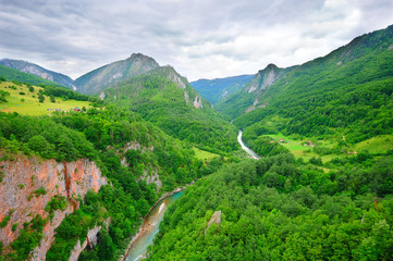 Canyon of the river Tara in Montenegro (the biggest in Europe)