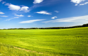 Obraz premium The nature