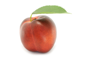 Nectarine and green leaf