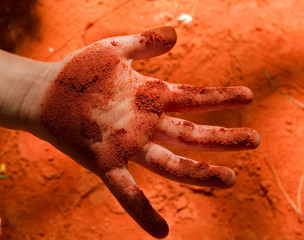 pigments
