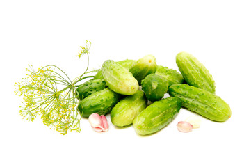 Cucumbers