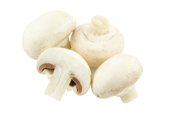 Champignon mushrooms isolated on white backround