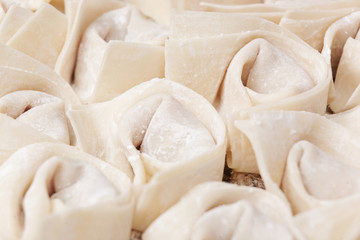 uncook chinese dumpling