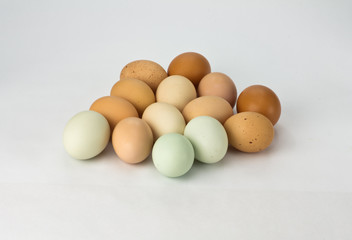 Heirloom chicken eggs