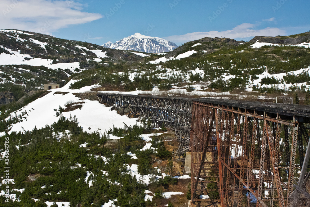 Wall mural white pass and yukon route bridge