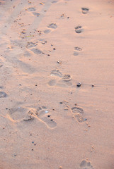 Fototapeta na wymiar Spuren im Sand