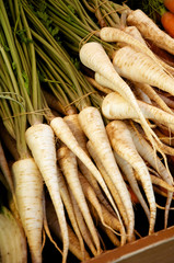 Root Parsley