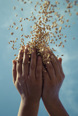 grain and hand