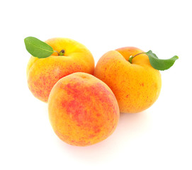 Fototapeta na wymiar ripe apricots