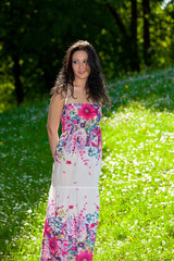 Fototapeta premium Summer meadow