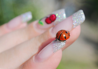 Ladybird sits on fingers of a hand