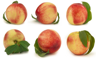 six peaches collection