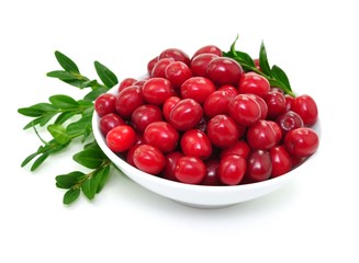 Früchte, Cranberries